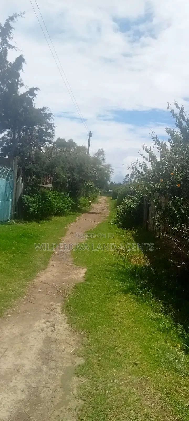 Plot for Sale