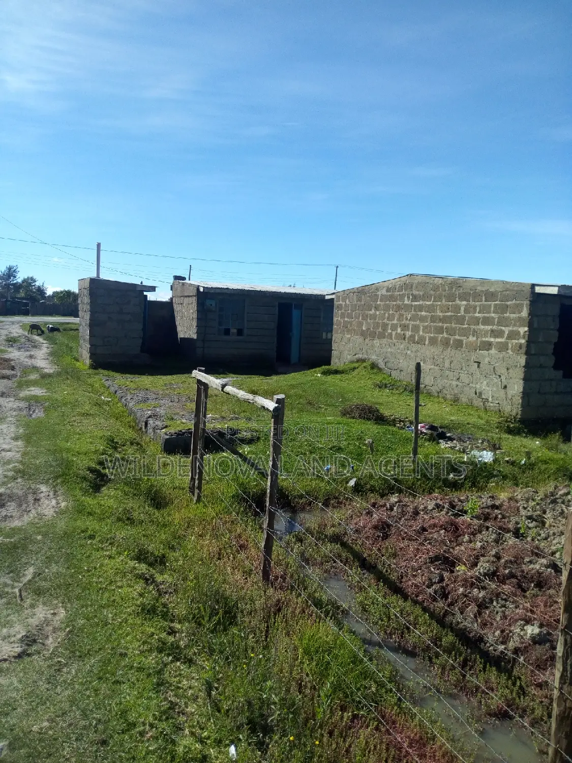 50*100plot on Sale at Magumu Kinangop