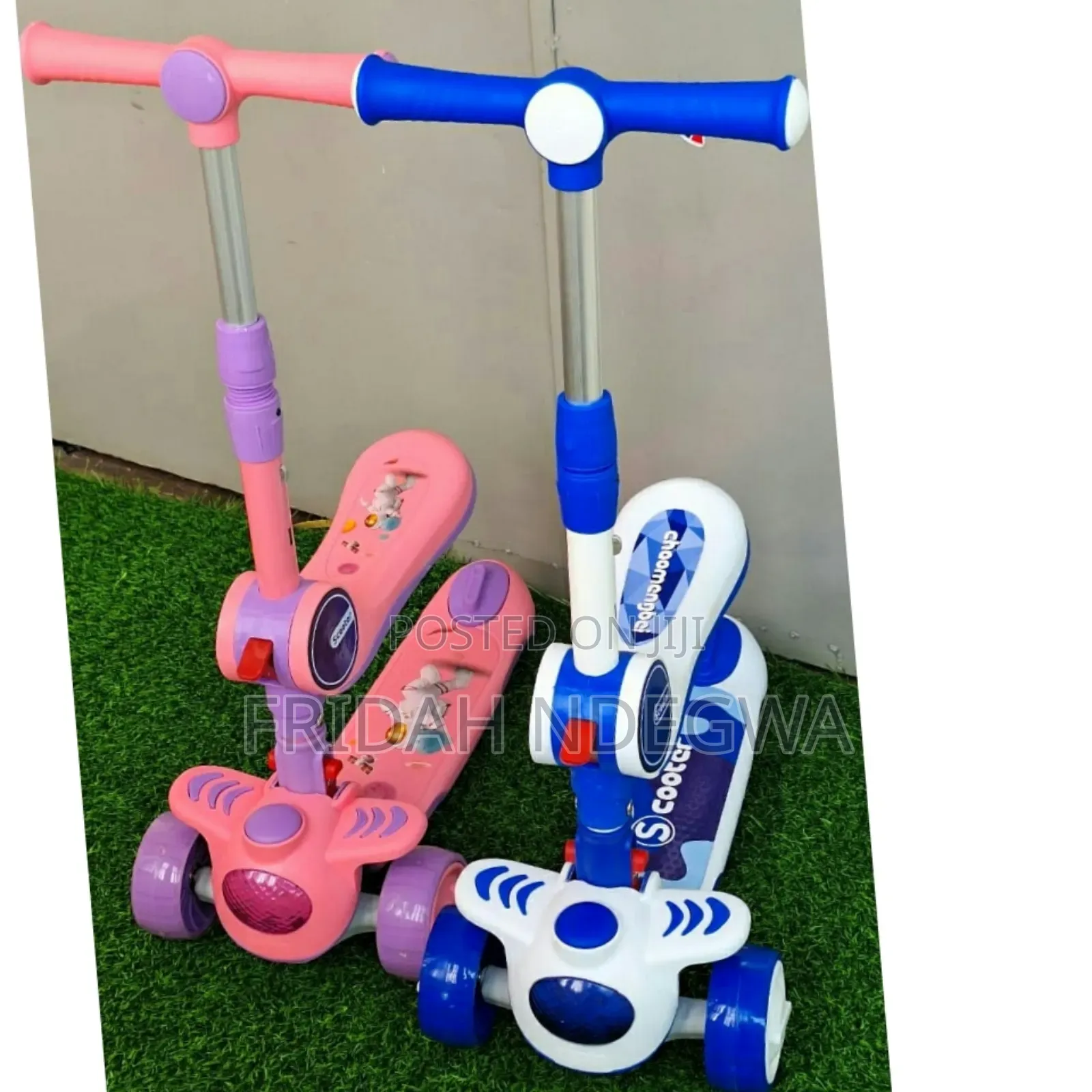 2 in 1 Scooter
