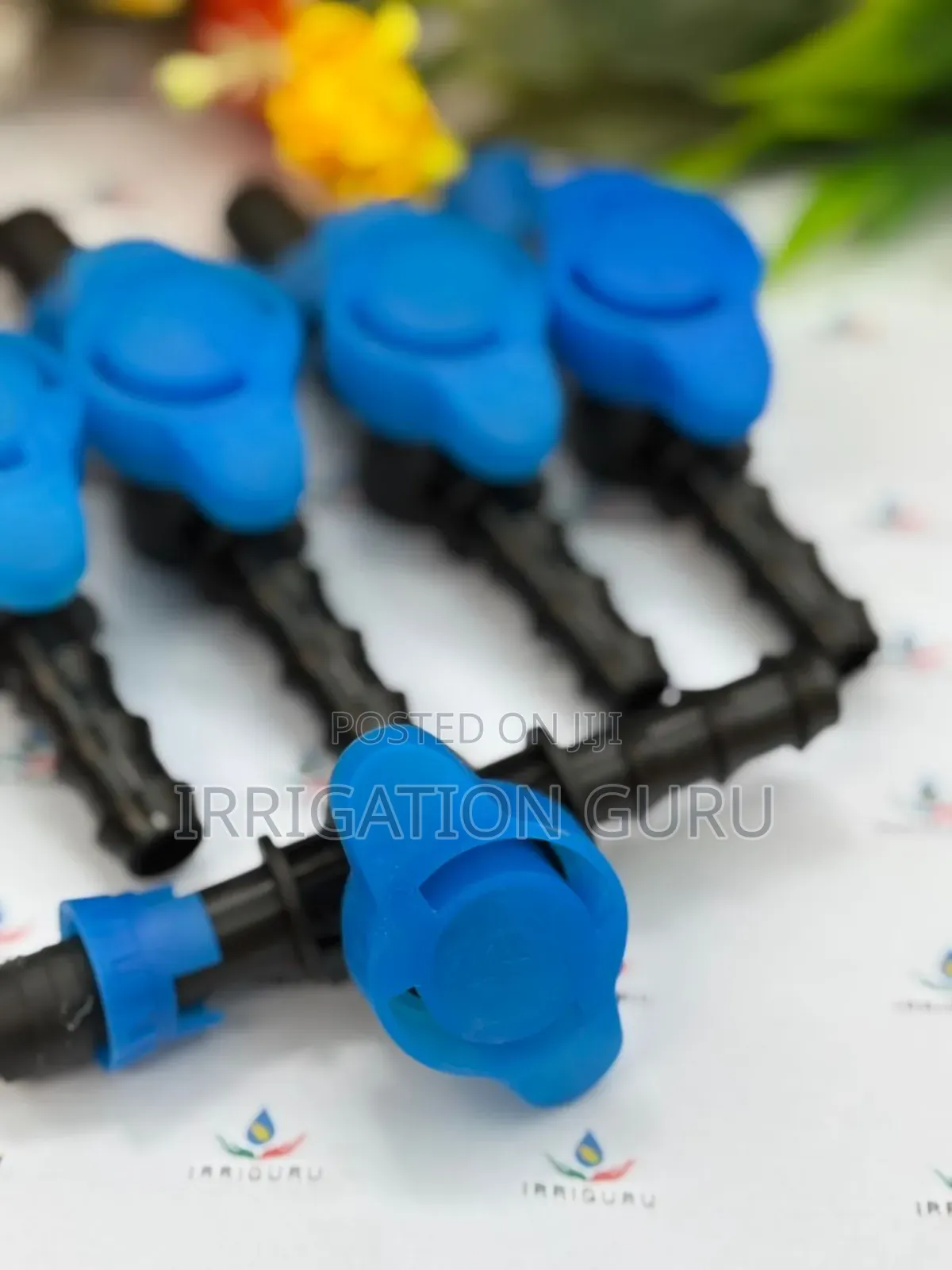 Quick Lock Valve