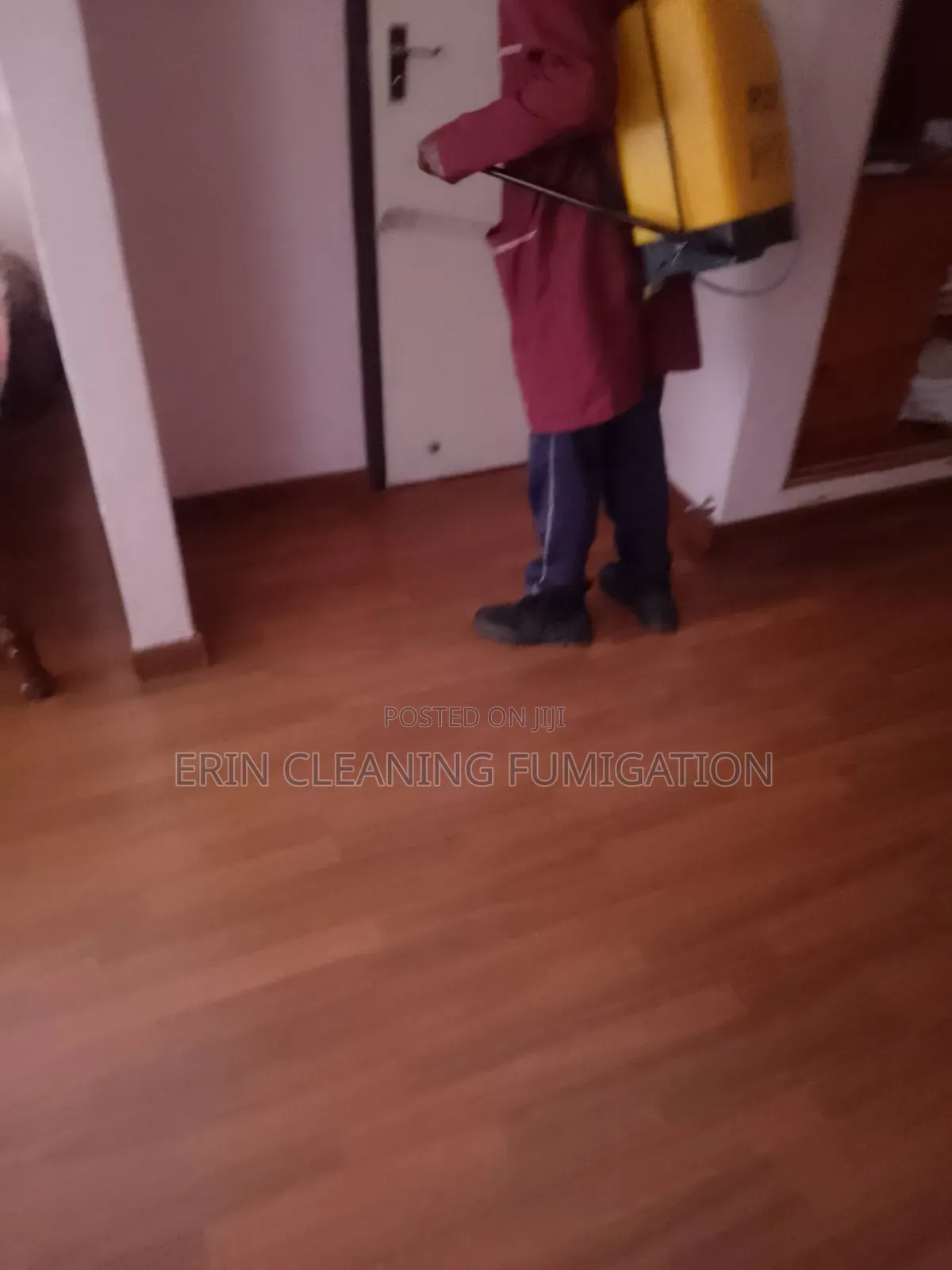 Professional Cockroaches and Bedbugs Fumigation Services