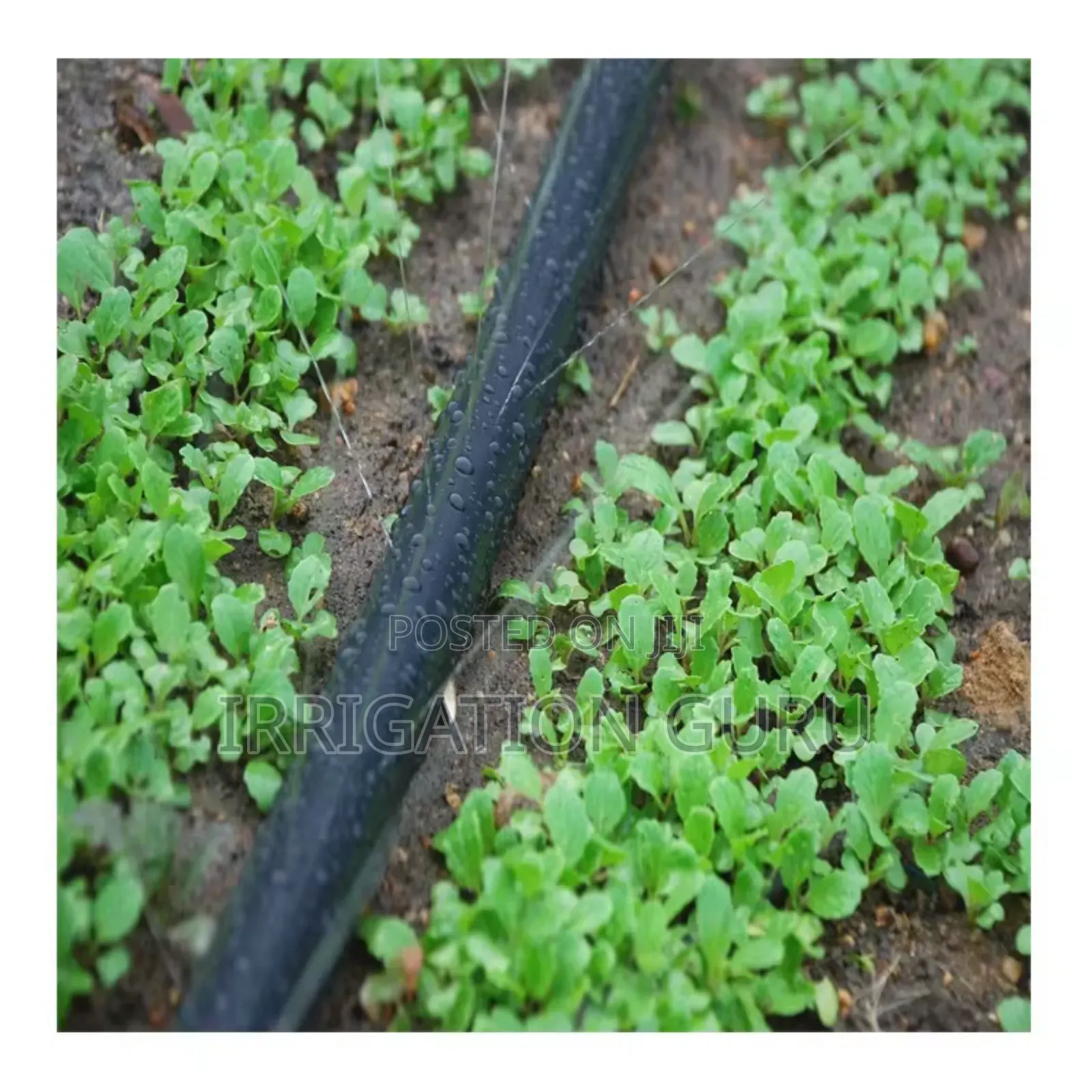 Spray Master Hose 40mm