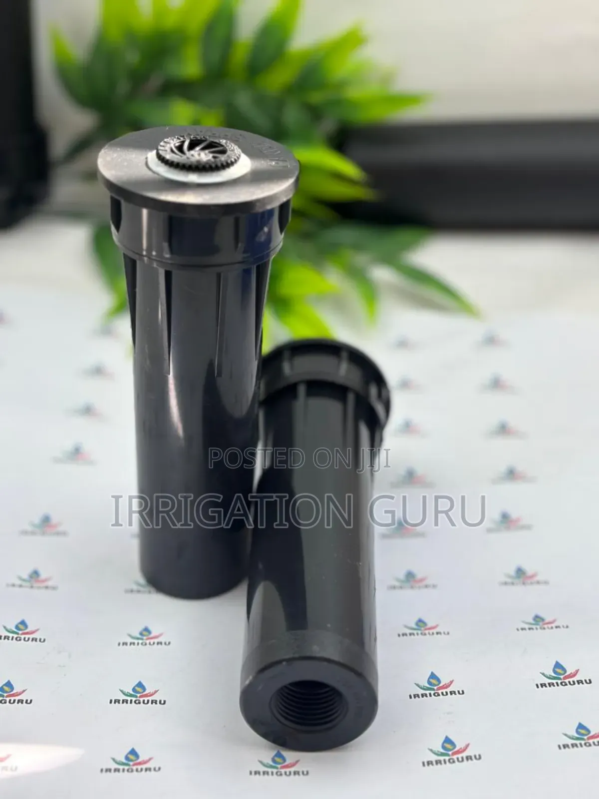 Anti Drain Pop Up