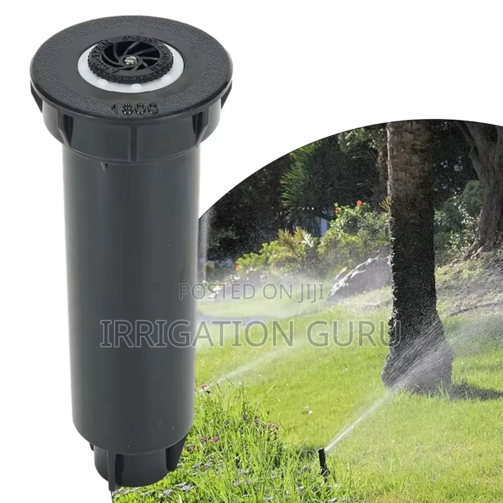 Lawnbloom 20mm
