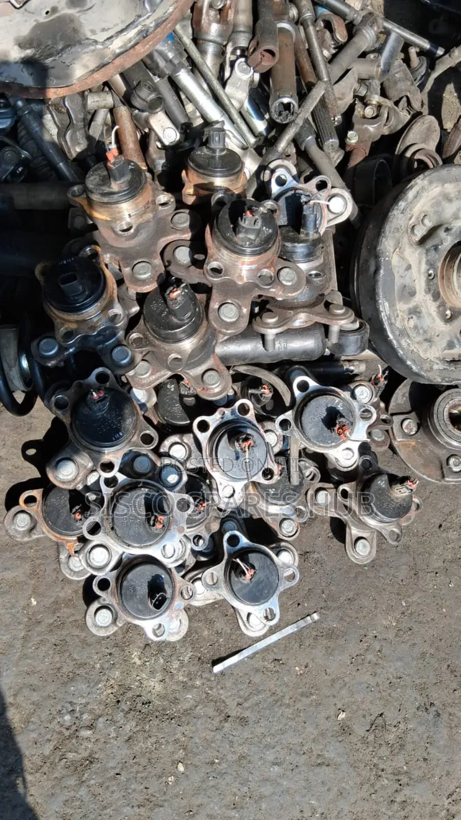 Rear Bearings Passo (B2050)