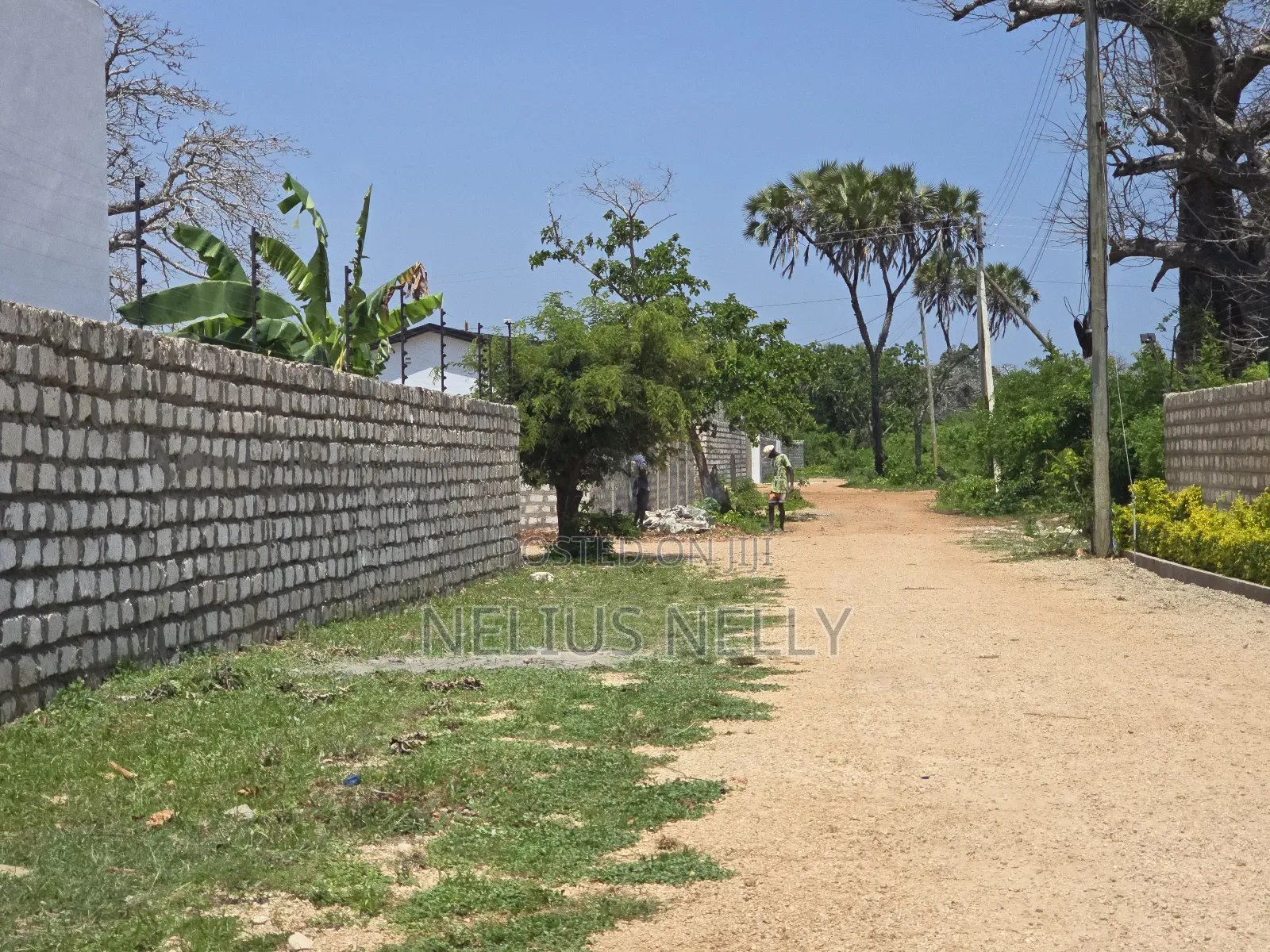 Plots for Sale Diani Near Neptune Hotel