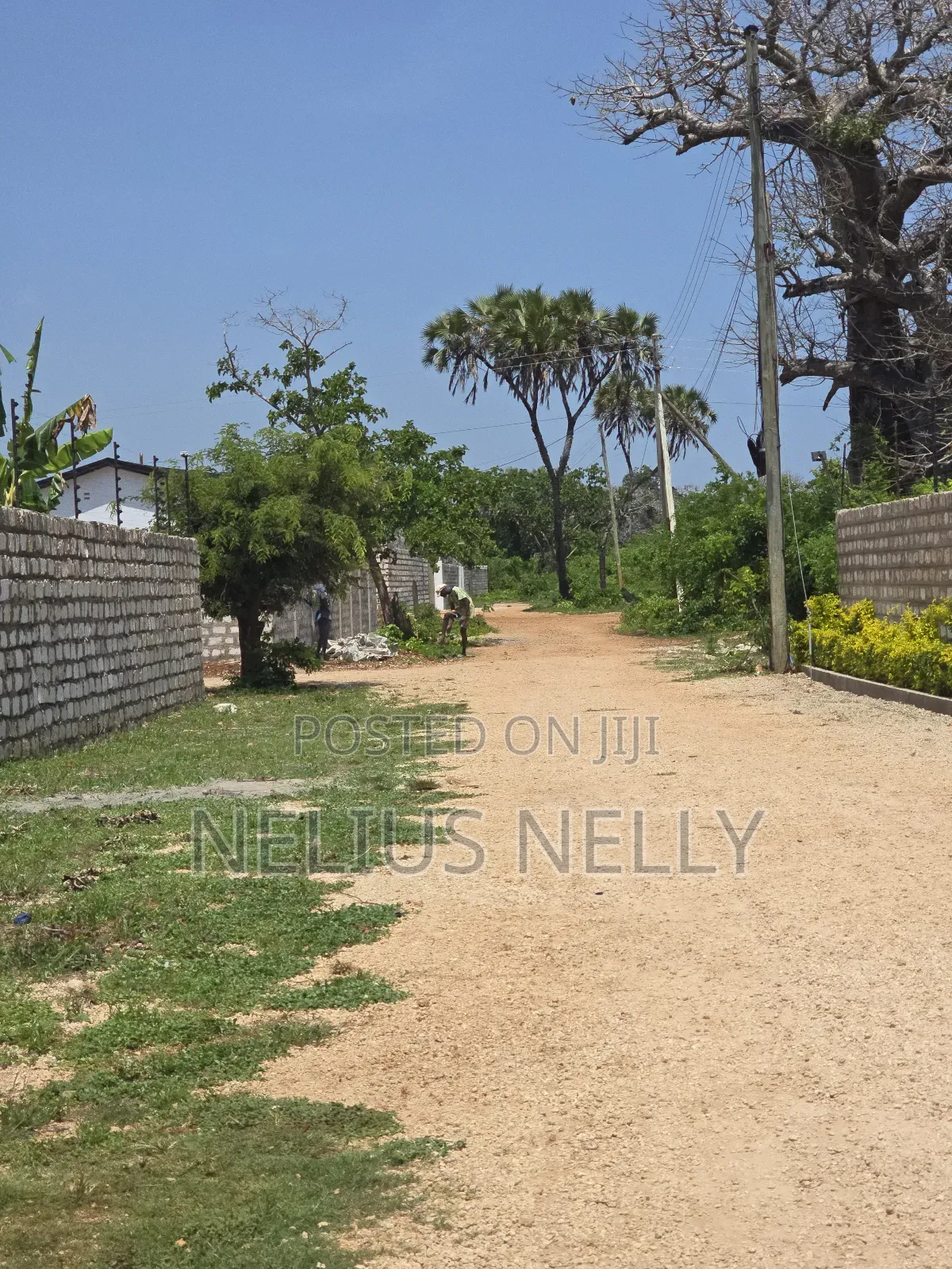 Plots for Sale Diani Near Neptune Hotel