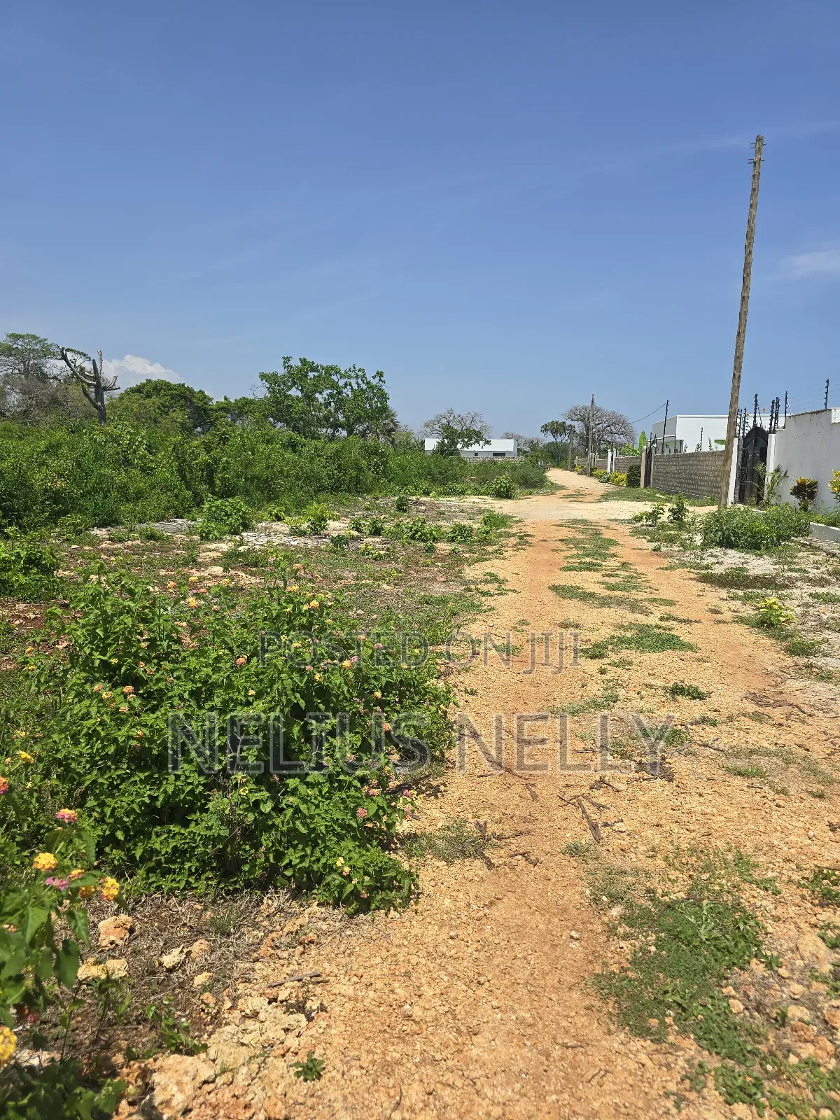 Plots for Sale Diani Near Neptune Hotel