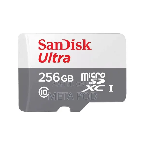 Sandisk Microsd Class 10 100mbps 256gb Without Adapter