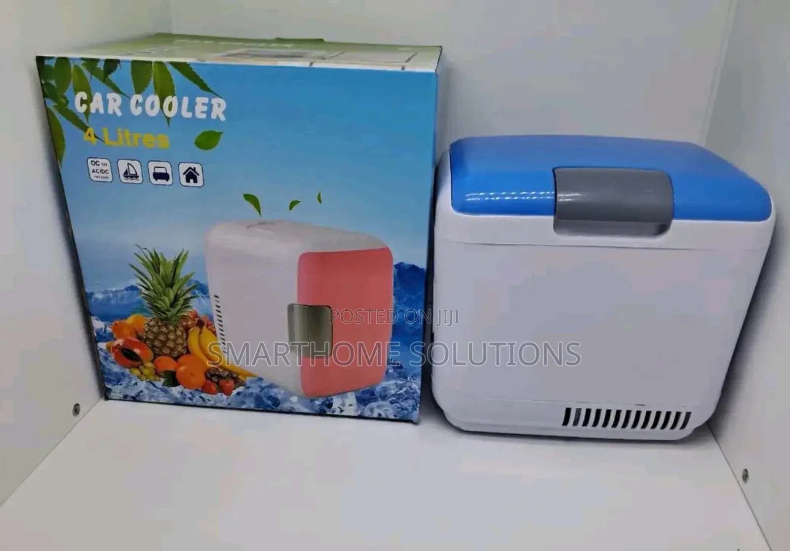 Car Refrigerator/Portable Car Fridge