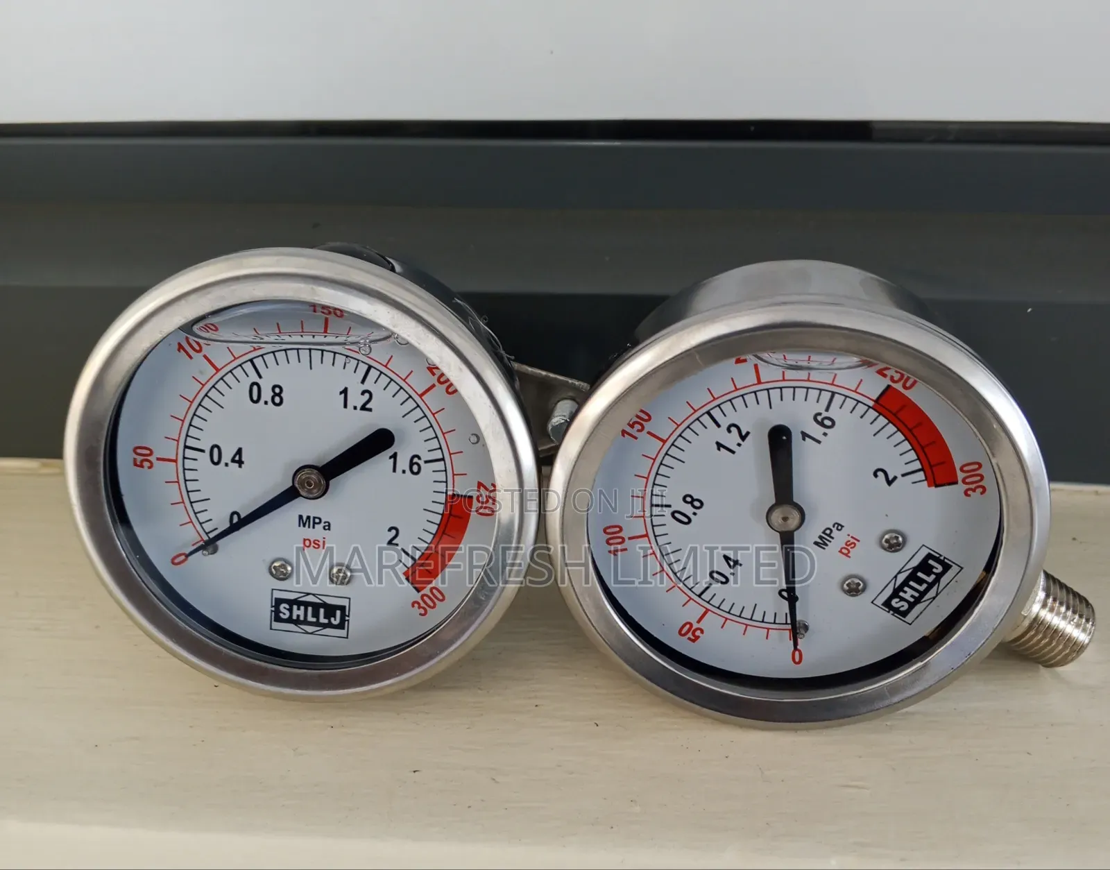 Pressure Gauge 2mpa 2.5"