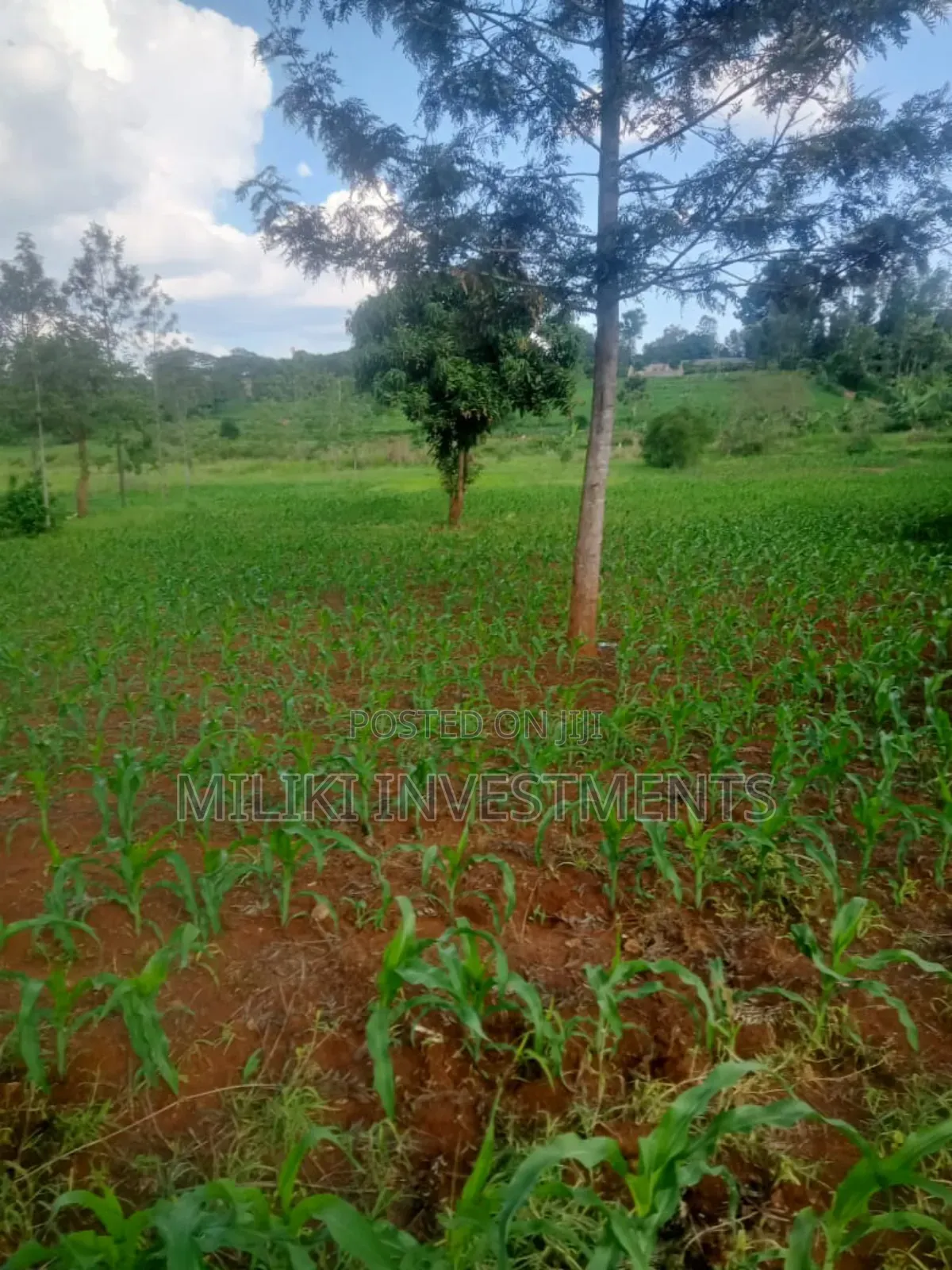 One Acre Land on Sale at Sabasaba-Kamahu