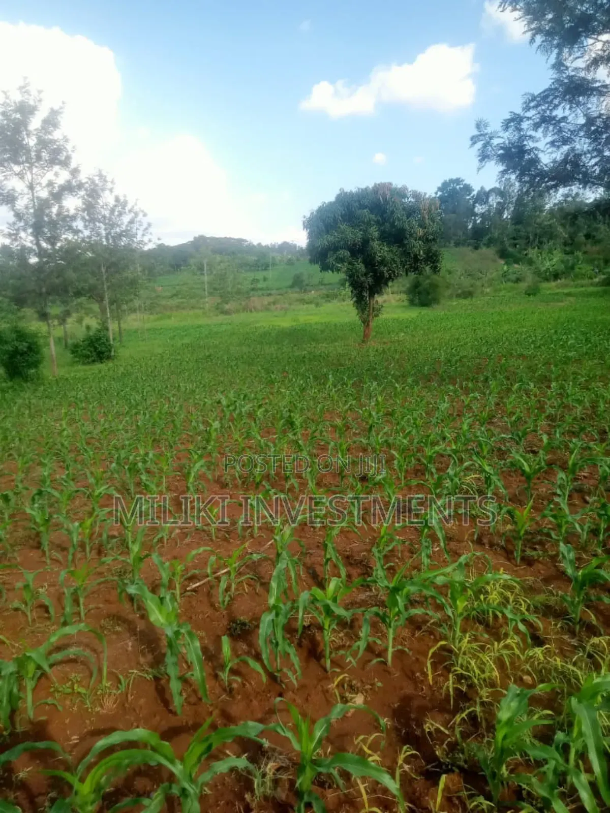 One Acre Land on Sale at Sabasaba-Kamahu