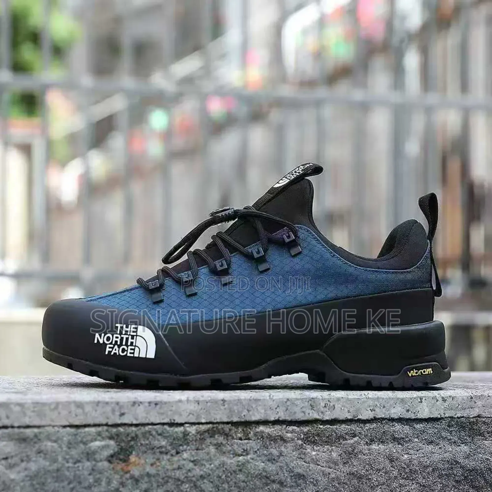 The Northface Shoes