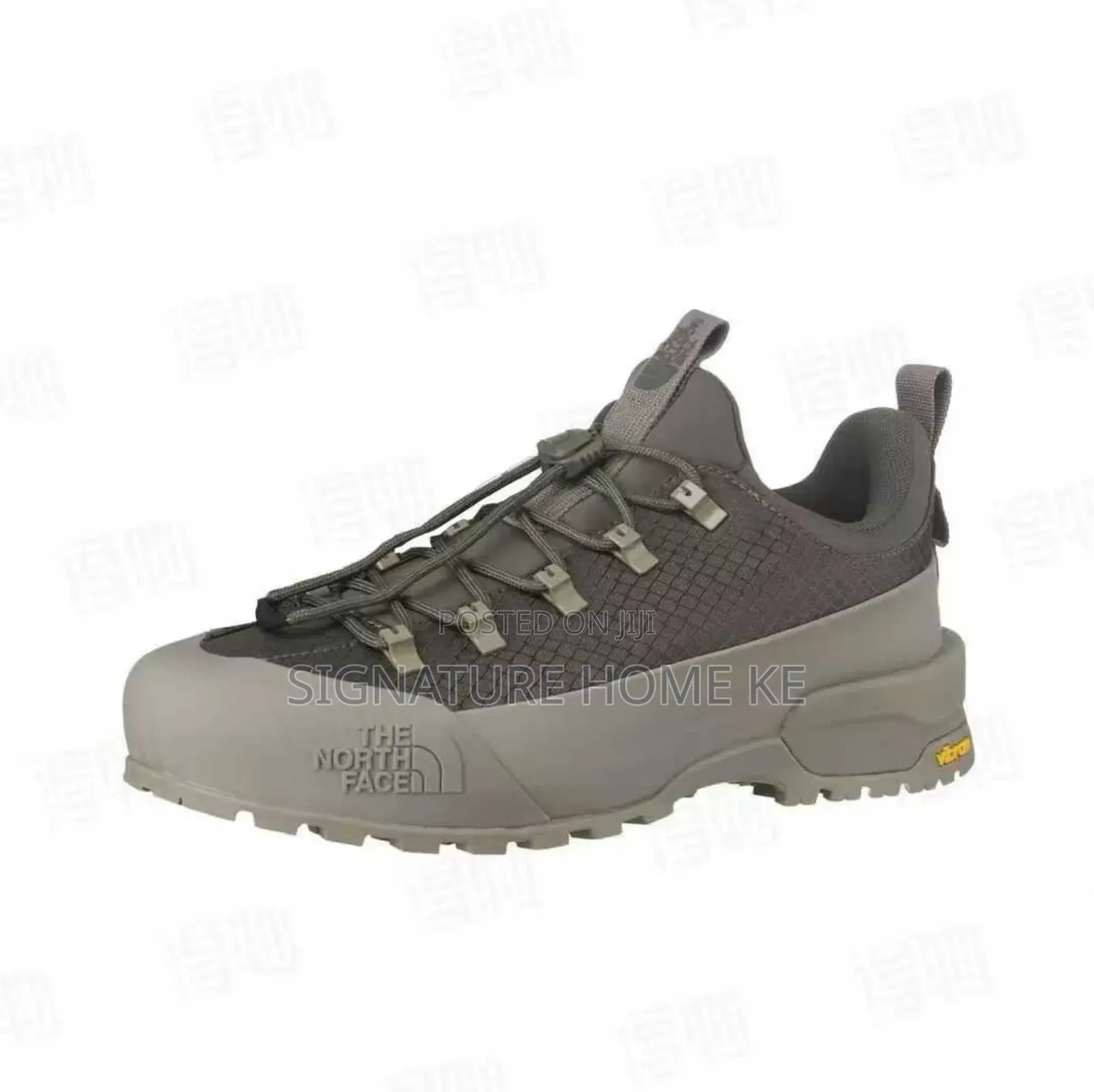 The Northface Shoes