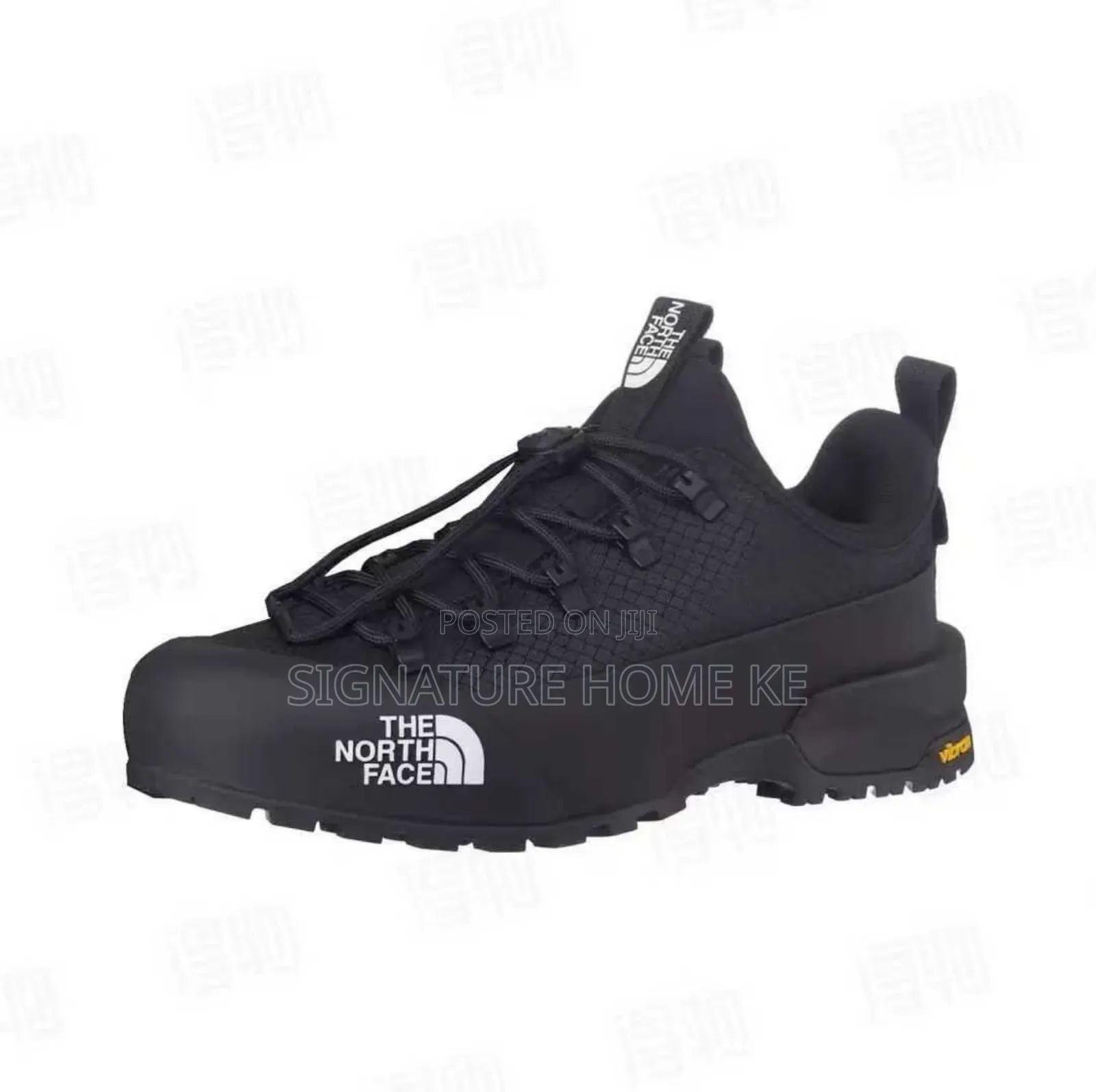 The Northface Shoes