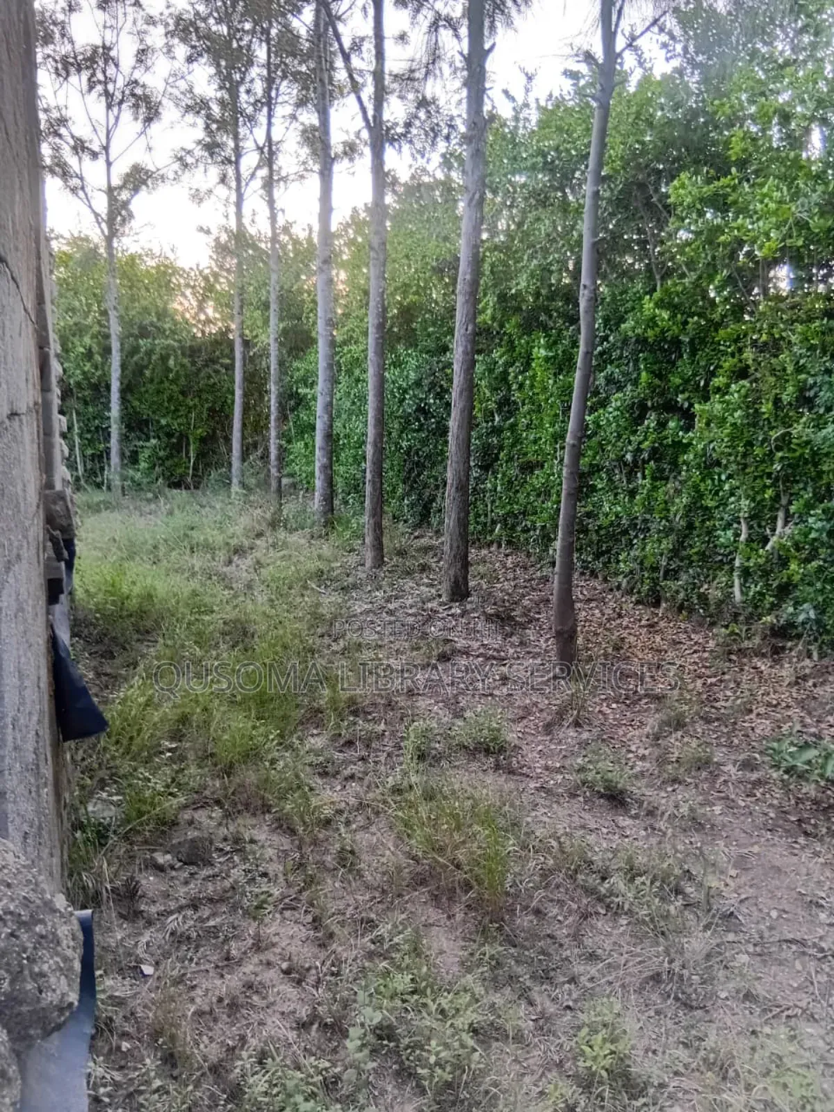 Developer's Dream: Unlock the Potential of Half an Acre in Chuna!