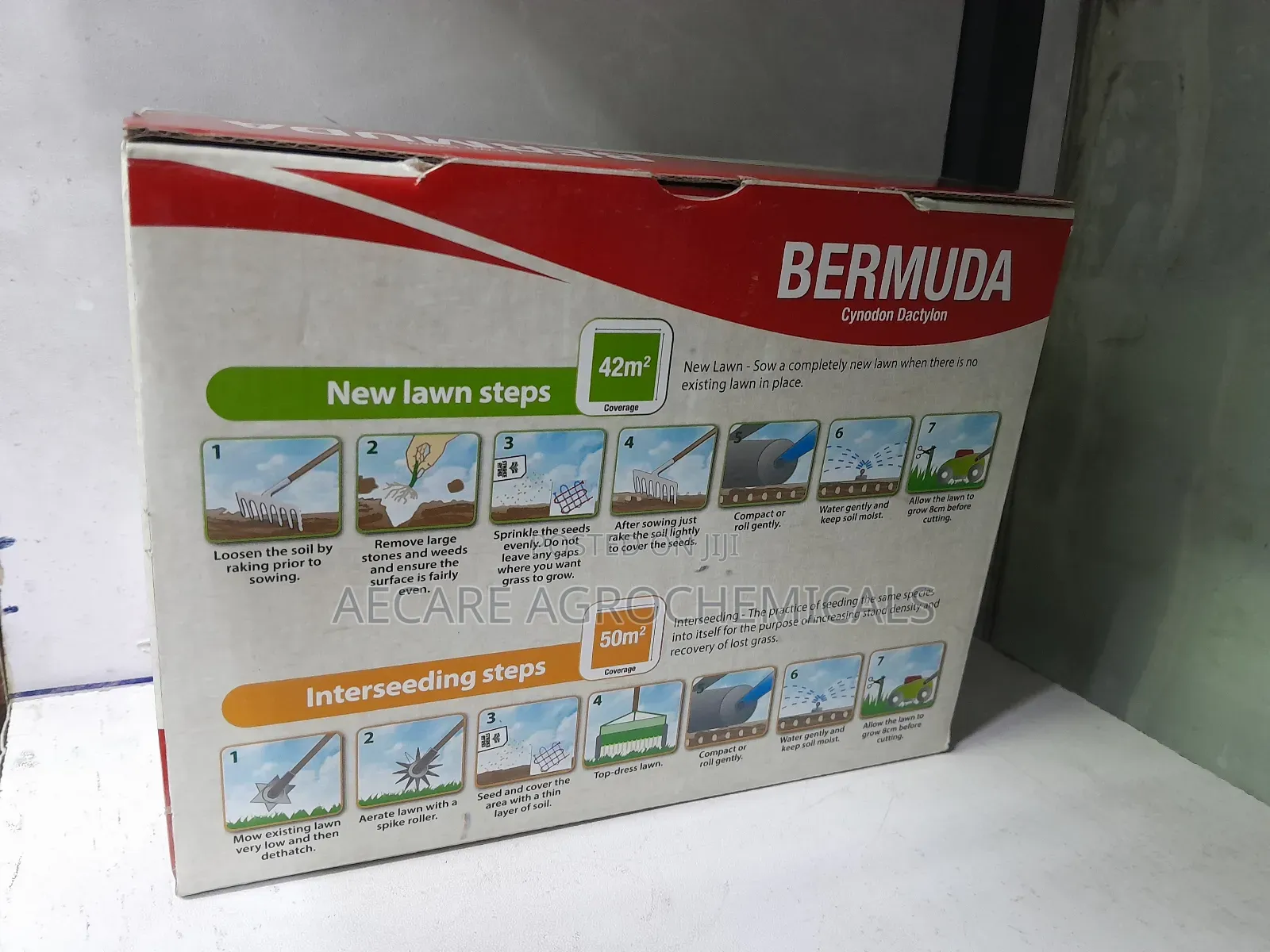 Bermuda Lawn Grass Seeds ( Cynodon Dactylon)