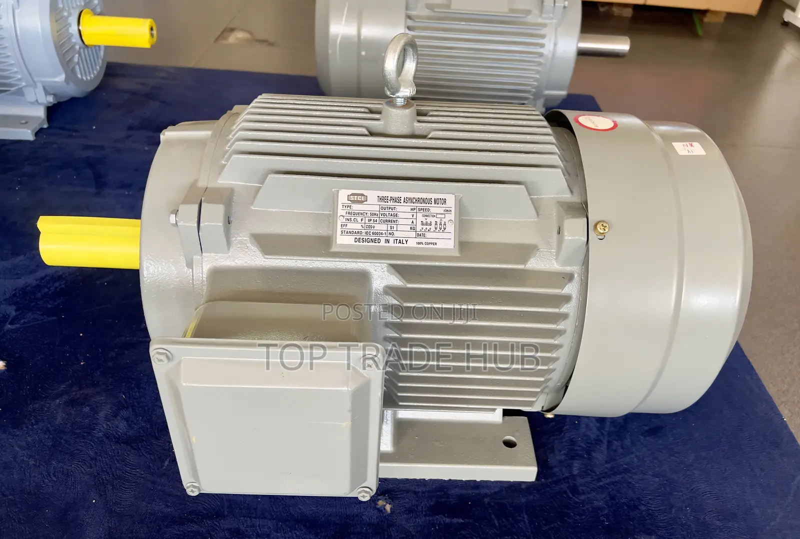 Stcl Italy Three Phase Electric Motor 25hp 2900rpm(High Speed)
