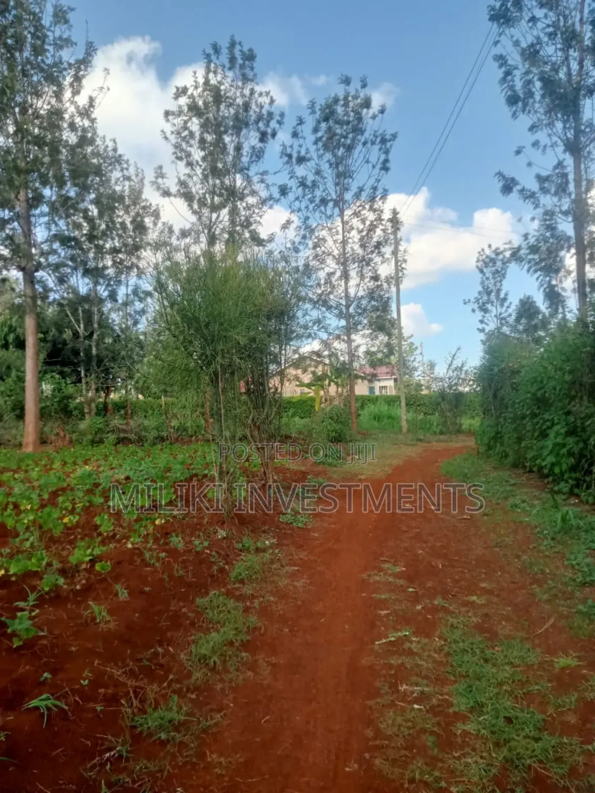 4p by 80 Plots on Sale Kabati-Kenol