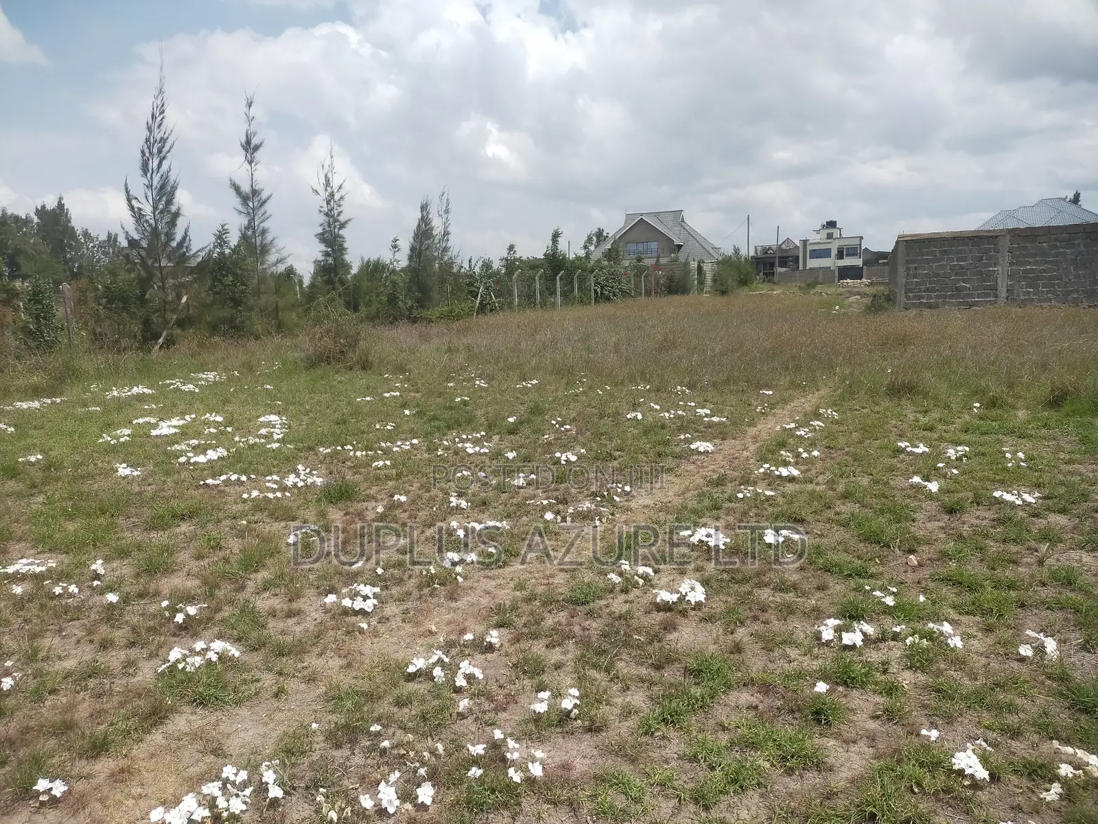 1/8-Acre Plot in Kitengela-Thorn Grove