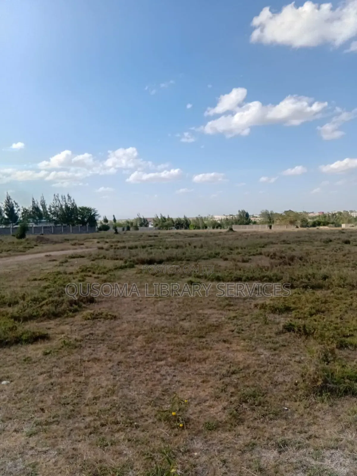 2 Side-by-Side Half-Acre Prime Plots - Kisaju 1.1 Km to Fred's Ranch