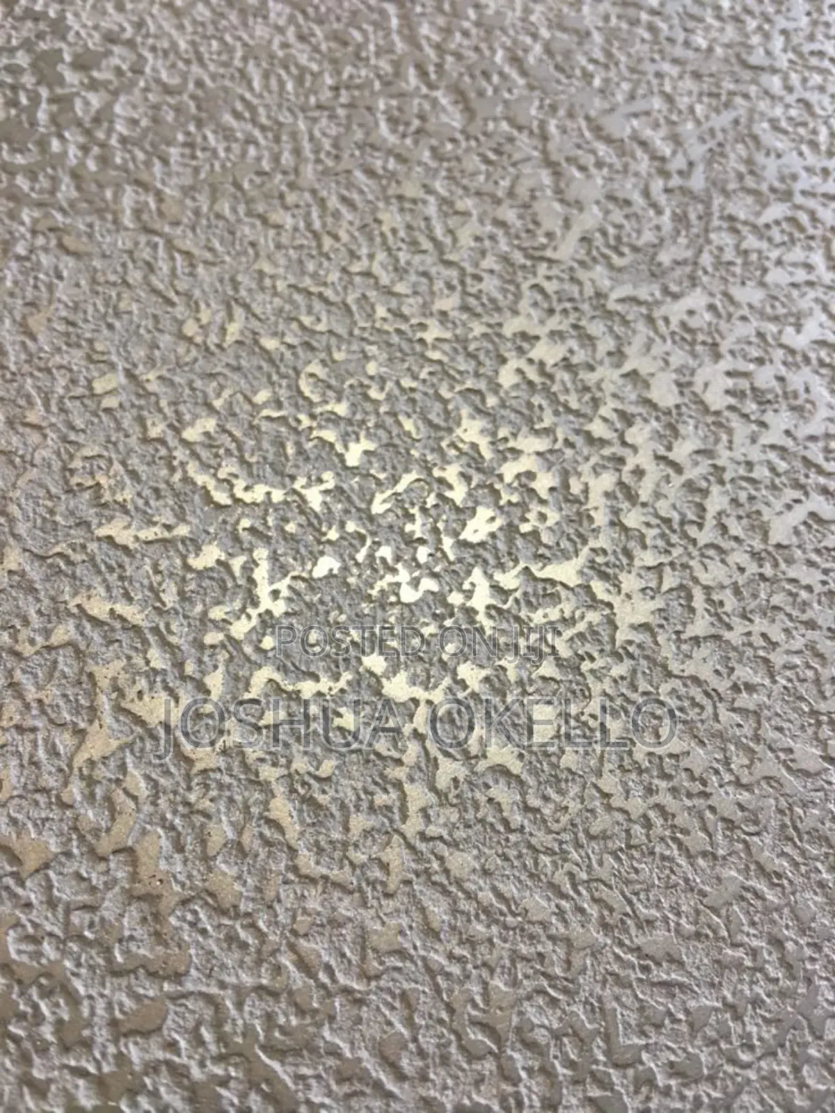 Painting and Wall Decorations