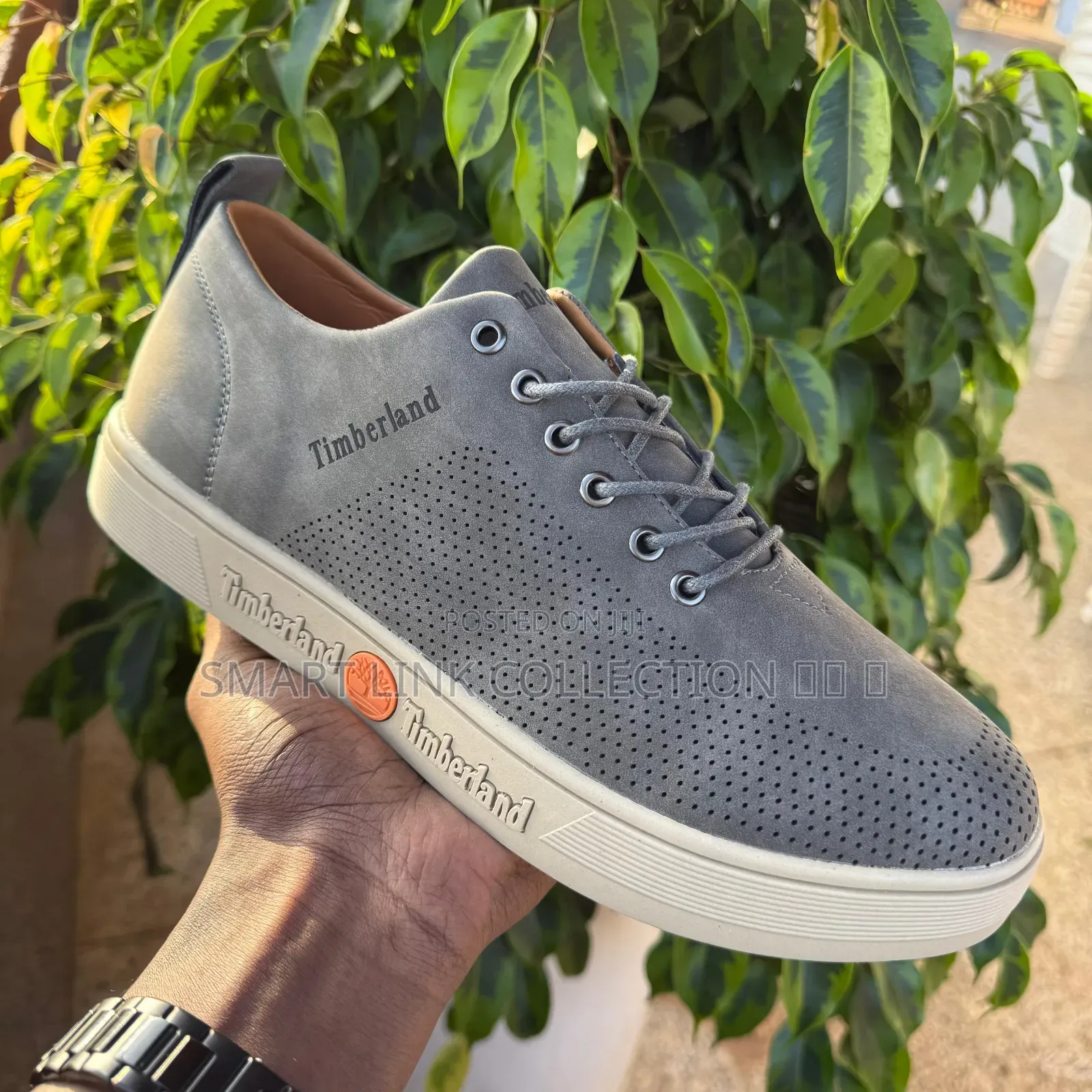New Timberland Casual