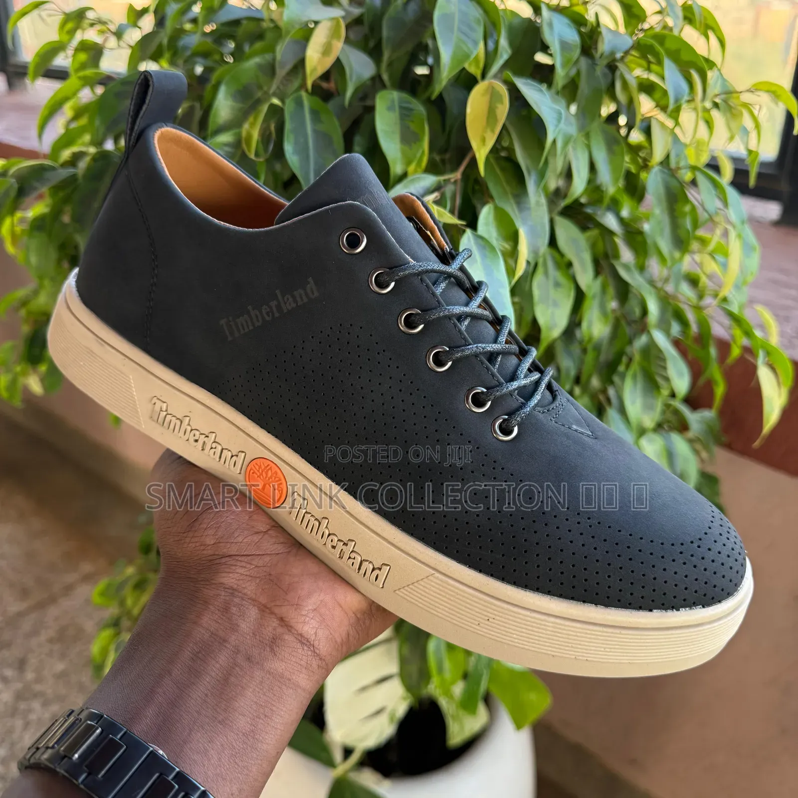 New Timberland Casual