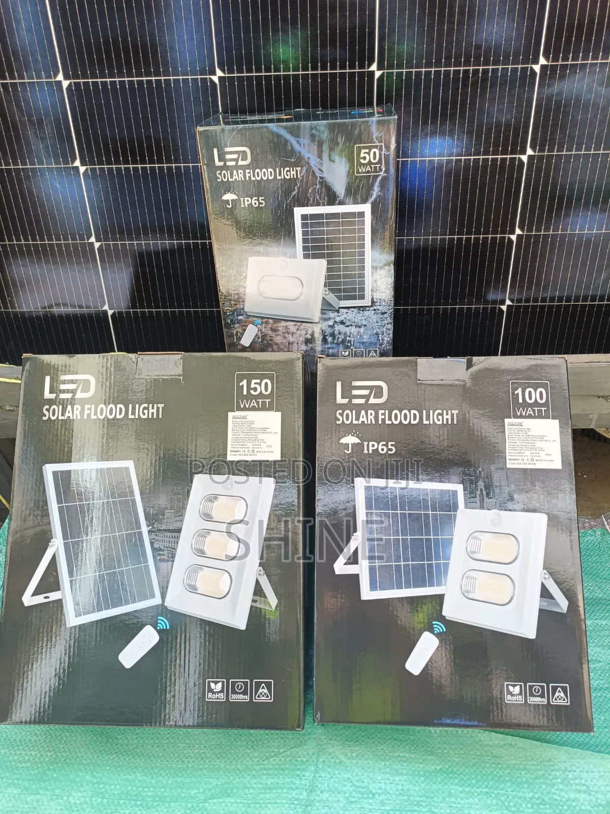 Solar Motion Sensor Floodlights