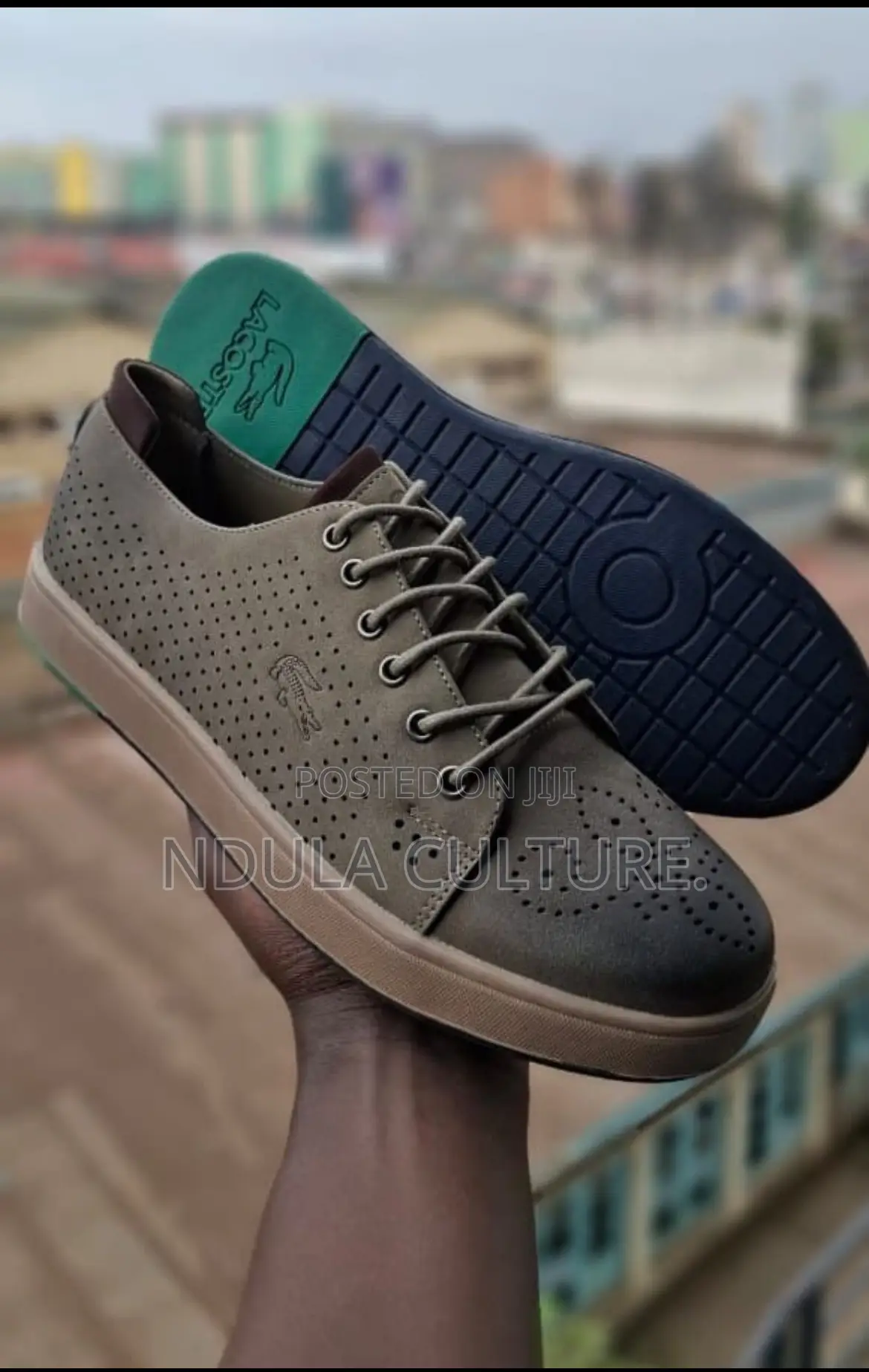 Lacoste Brown Casuals