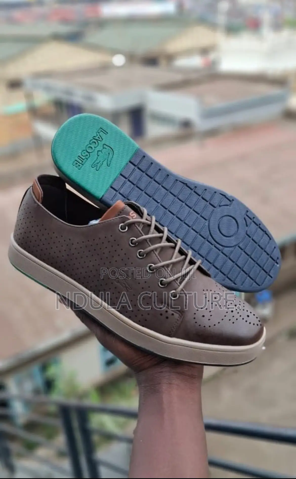 Lacoste Brown Casuals