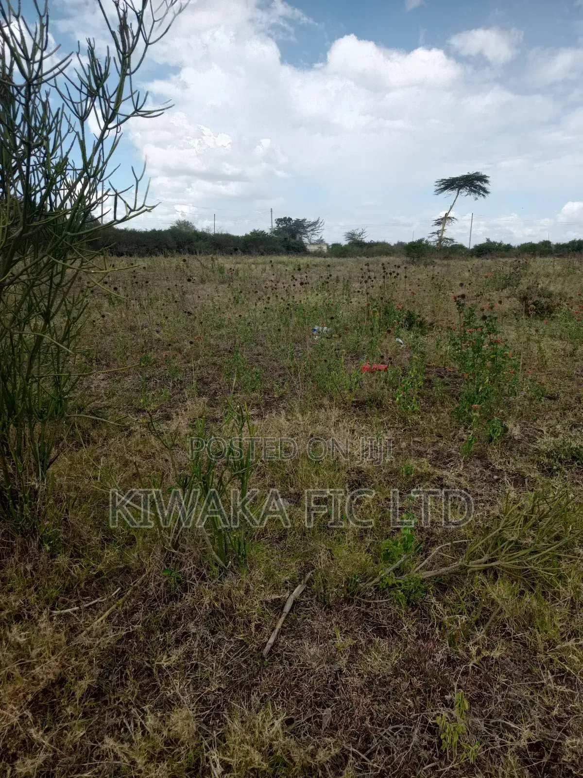 1 Acre Off the Eastern Bypass