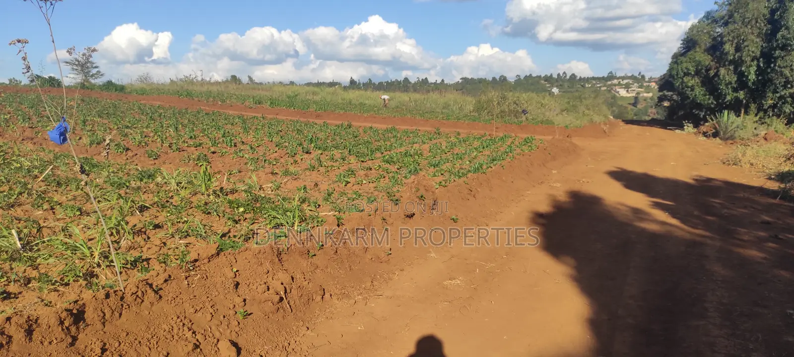 Prime 1/8 Acre In Kikuyu, Thigio (Fronting Tarmac)