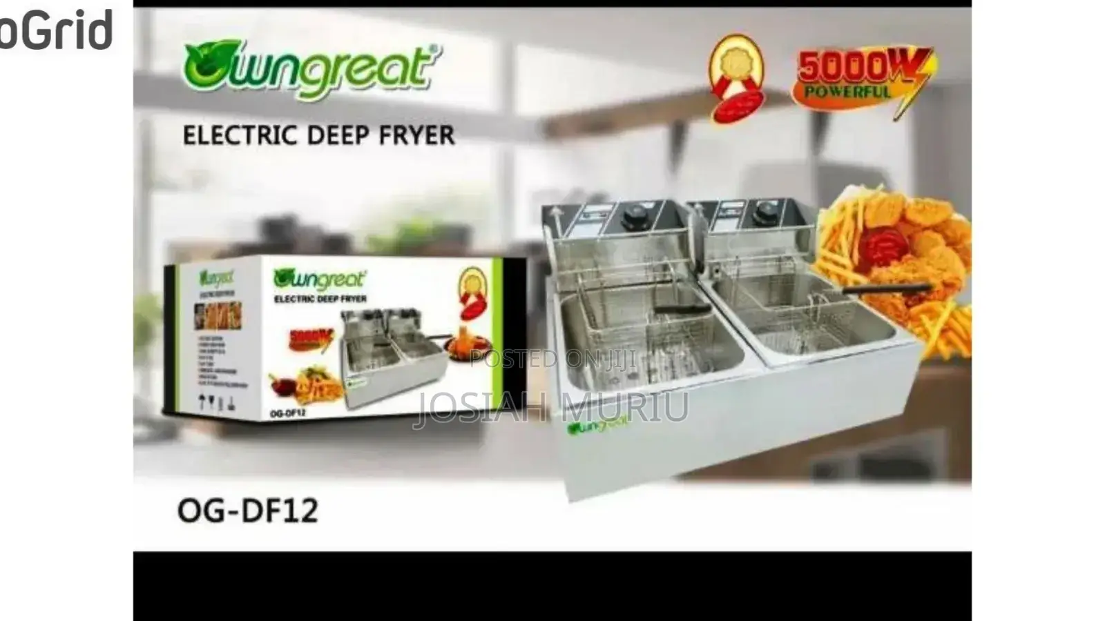 Owngreat Double Electric Deep Fryer Stainless Steel