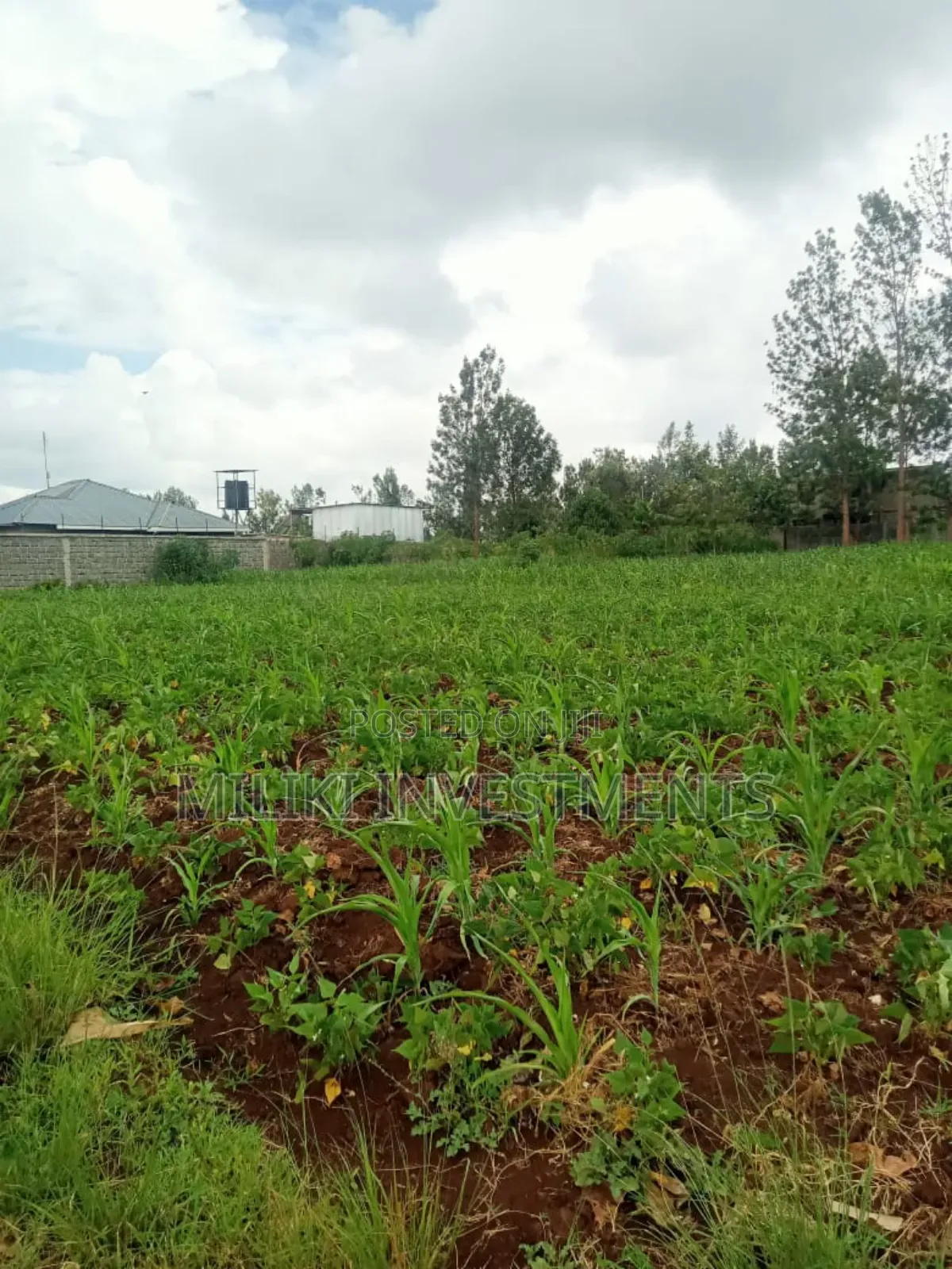 Half an Acre Plot on Sale at Kenol