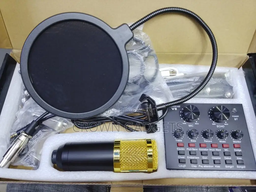 Bm800 Professional Condenser Microphone With V8 Audio Interface