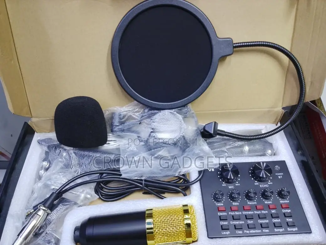 Bm800 Professional Condenser Microphone With V8 Audio Interface