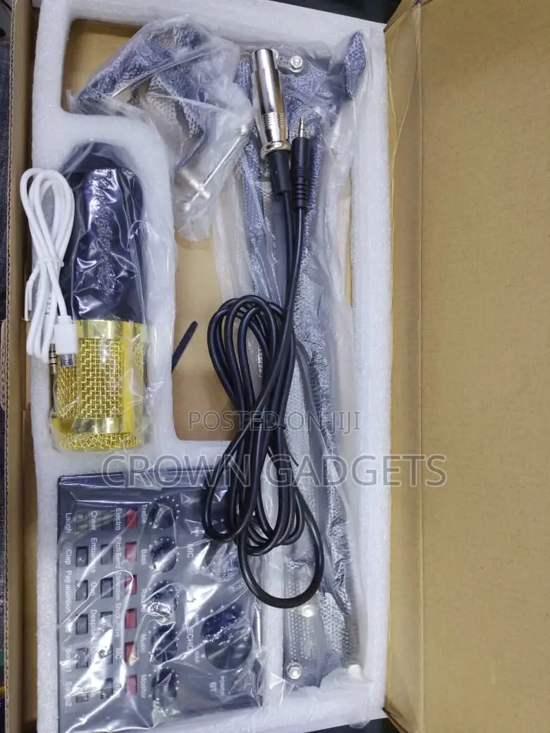 Bm800 Professional Condenser Microphone With V8 Audio Interface