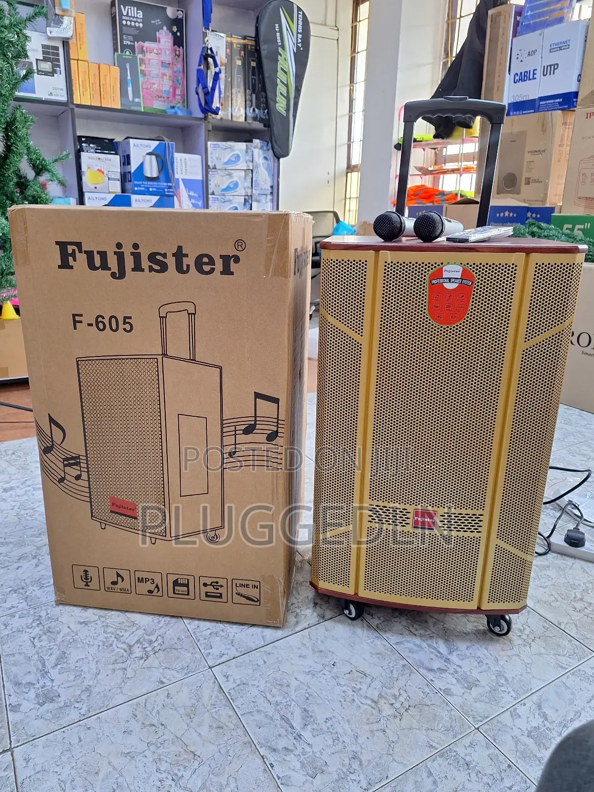 Fujister-F605 15" Battery-Powered Portable Speaker System.