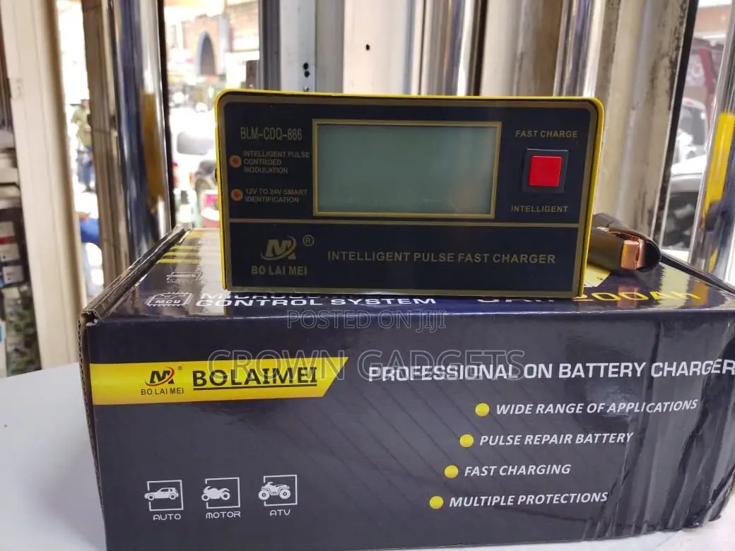 Bolaimei 3-200ah Intelligent Pulse Battery Charger With LCD