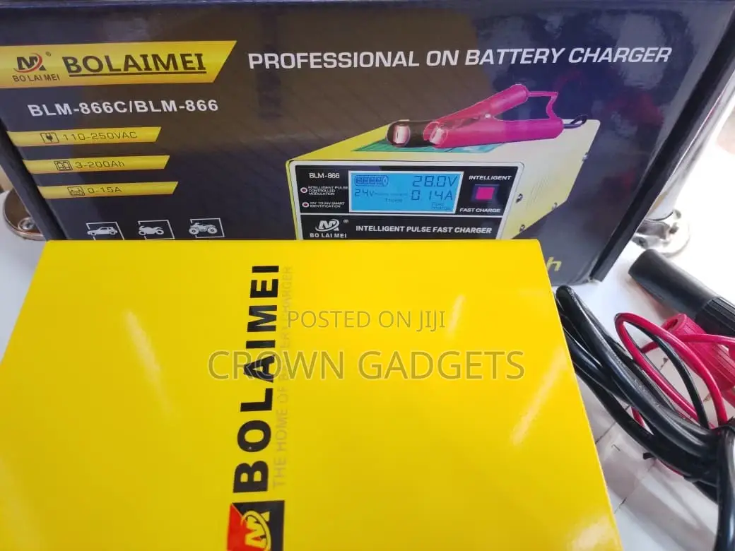 Bolaimei Intelligent Pulse Repair Charger 12v/24v Lead Acid