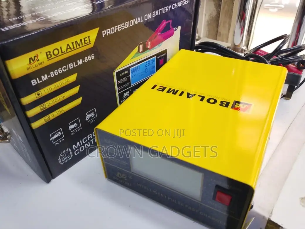 Bolaimei Intelligent Pulse Repair Charger 12v/24v Lead Acid