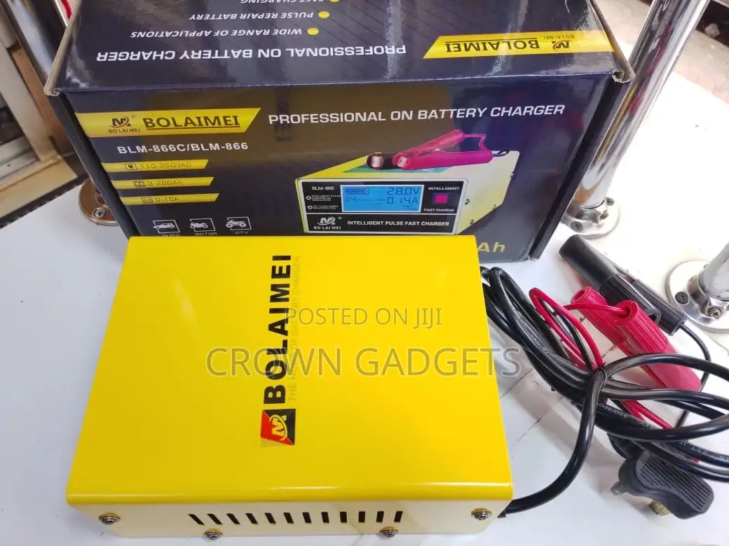 Bolaimei Intelligent Pulse Repair Charger 12v/24v Lead Acid