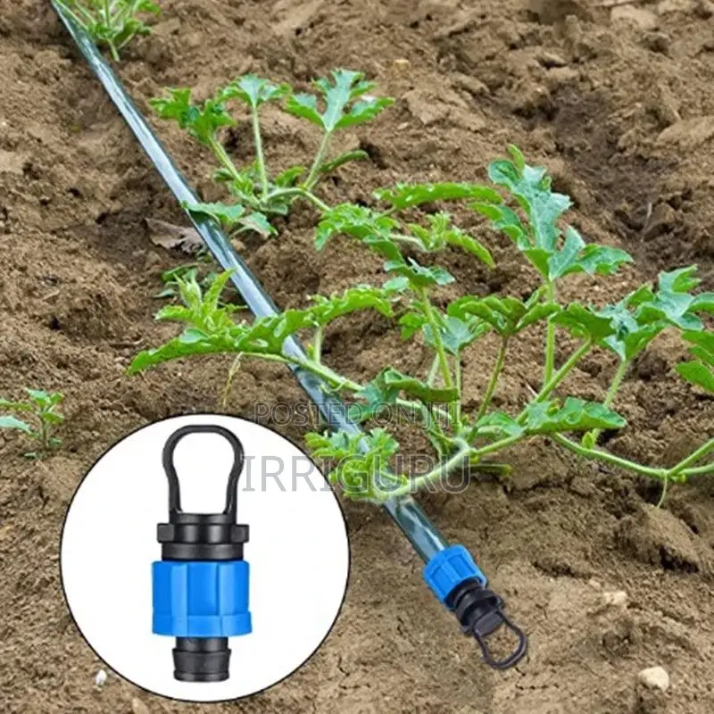 Watermelon Planting Irrigation Patch Drip Irrigation Belt,