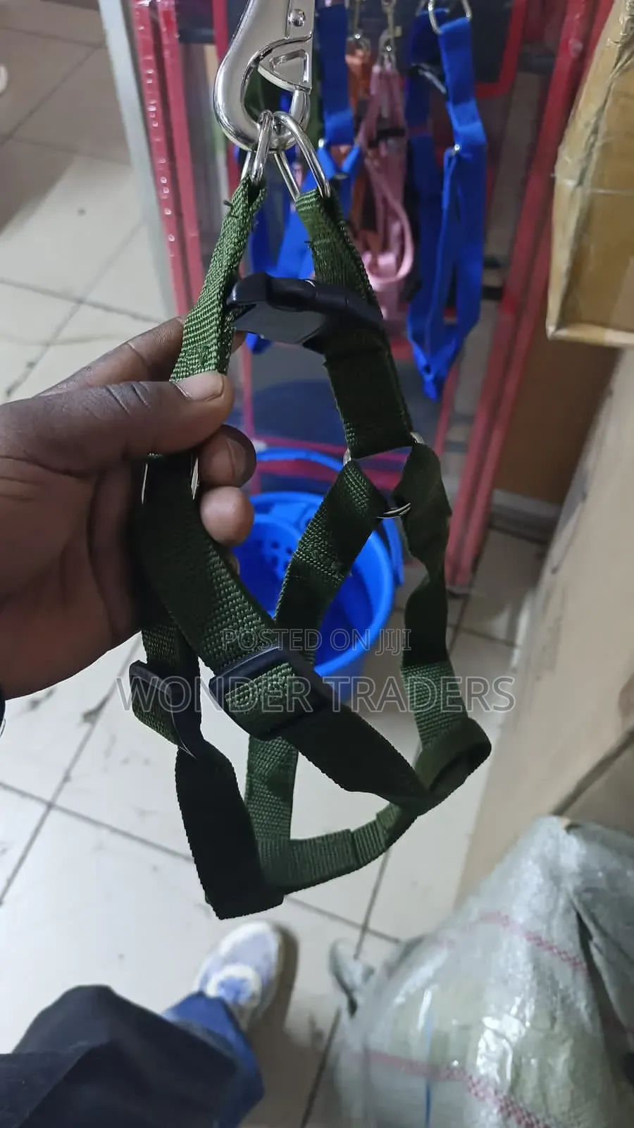 Dog Leash / Harness With Collar