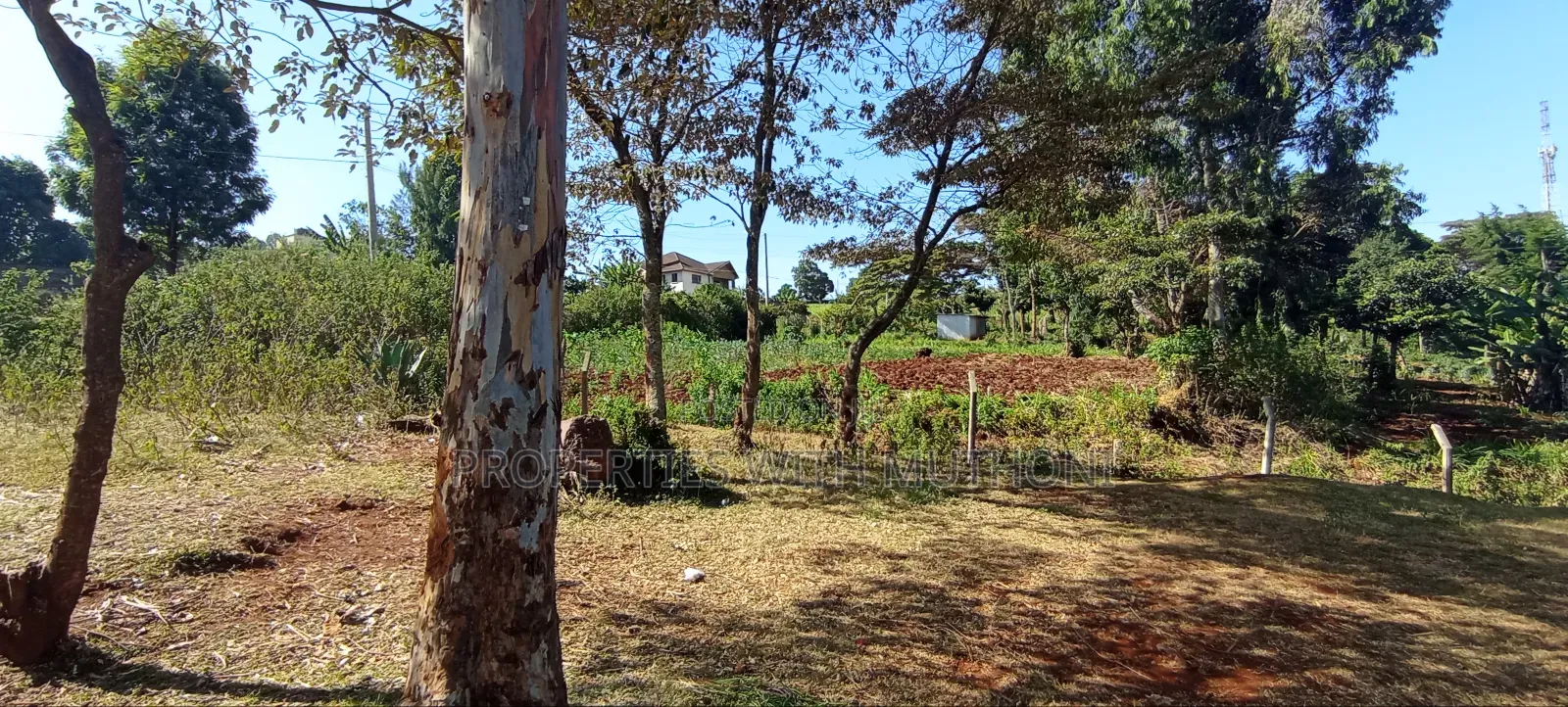 Commercial Plot for Sale in Thogoto, Kikuyu.