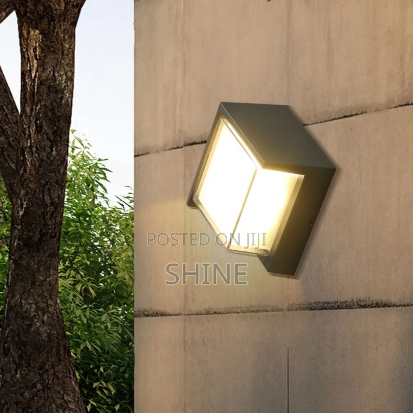 Indoor and Outdoor Wall Light