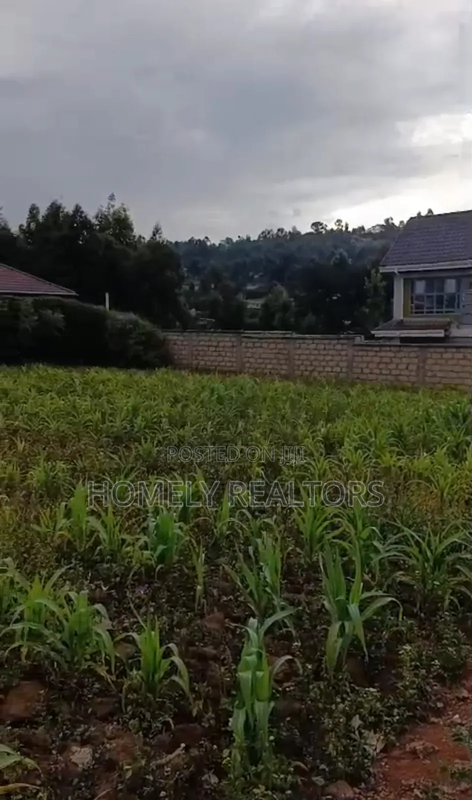 Gated Residential Quarter Acre Plot in Kikuyu, Thigio. Red Soil Land