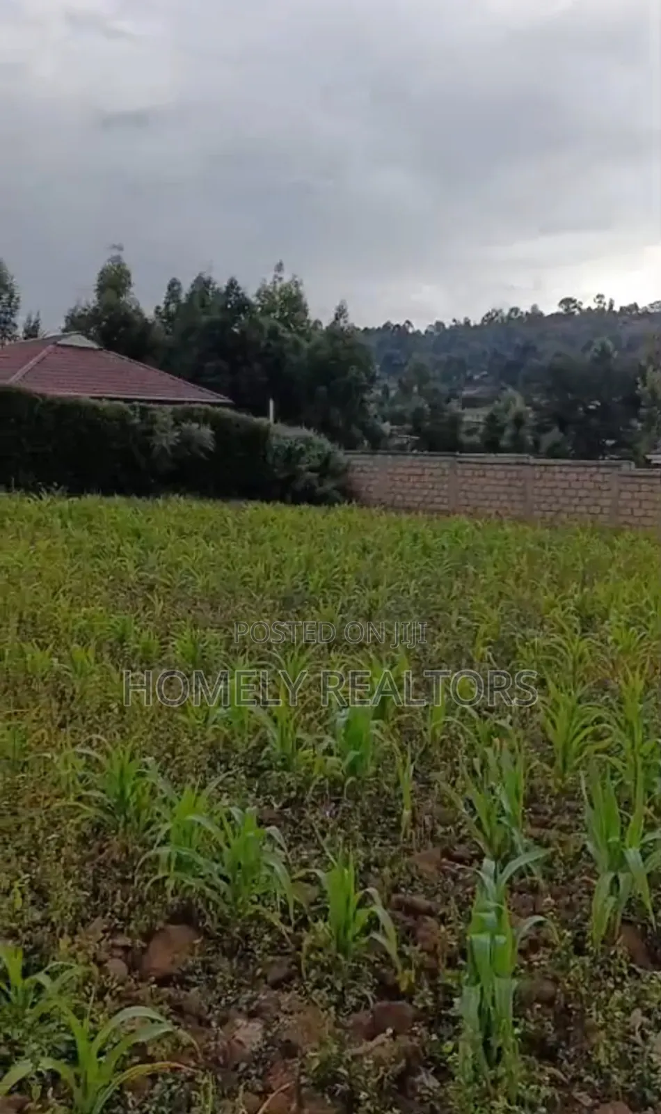 Gated Residential Quarter Acre Plot in Kikuyu, Thigio. Red Soil Land